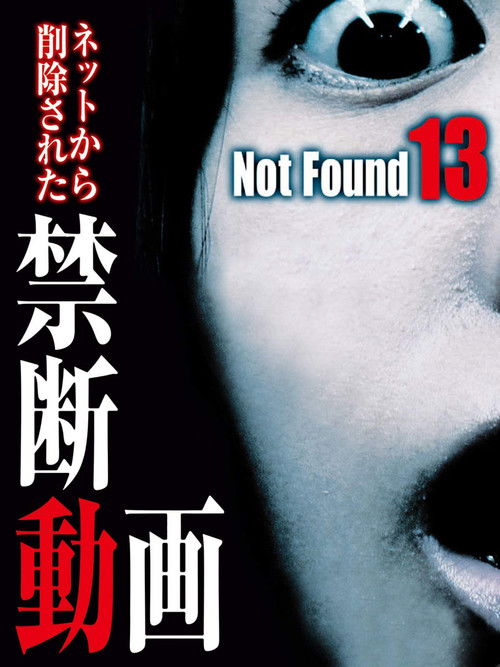 Not Found 13 Poster