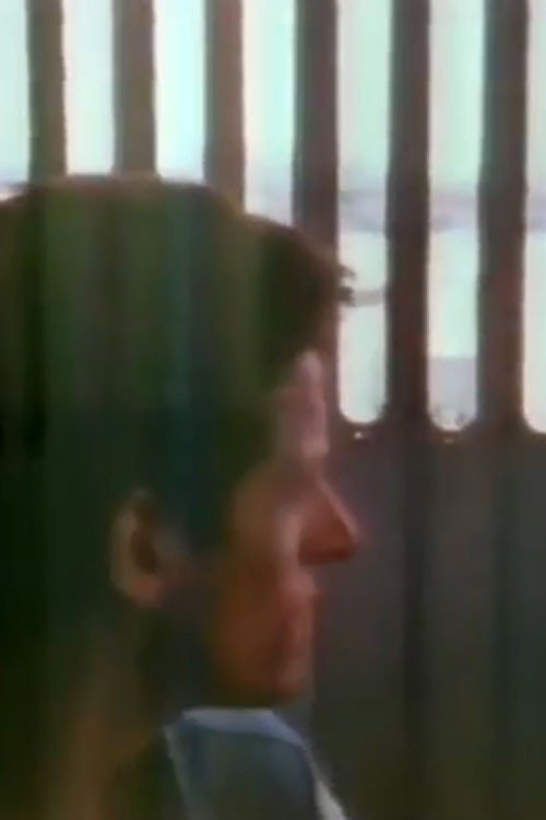 The Blue Nile: Flags and Fences Poster