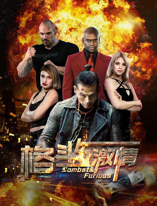 格斗与激情 Poster