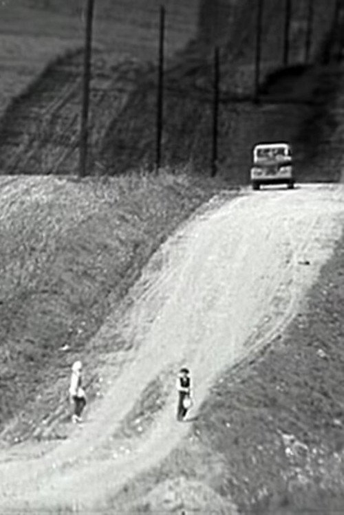 Eine Sommerreise Poster