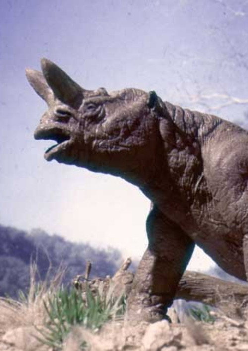 The Age of Mammals Poster