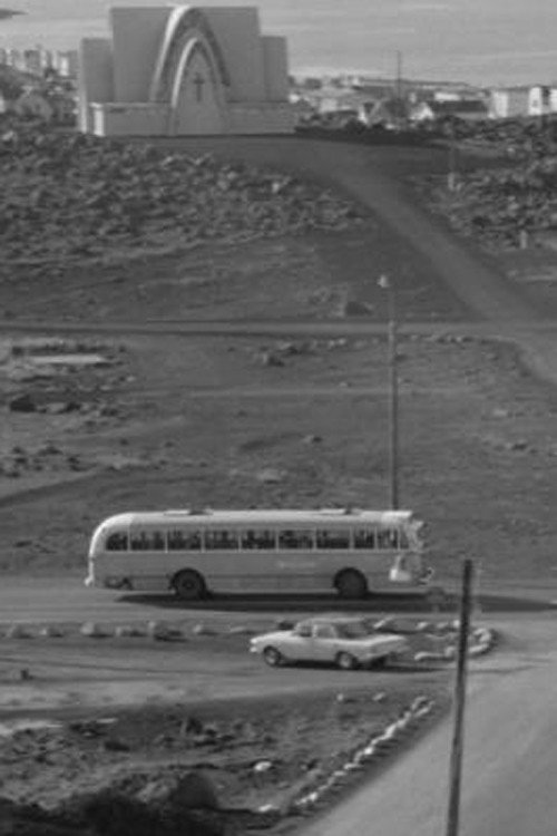 Grænlandsflug Poster