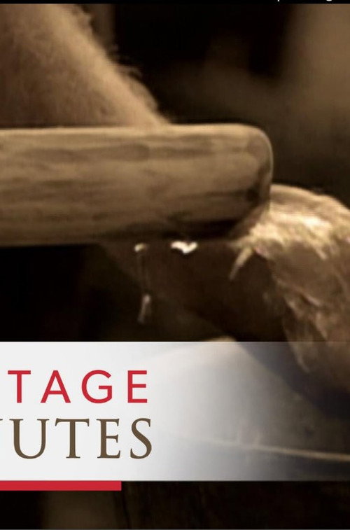 Heritage Minutes: Water Pump Poster