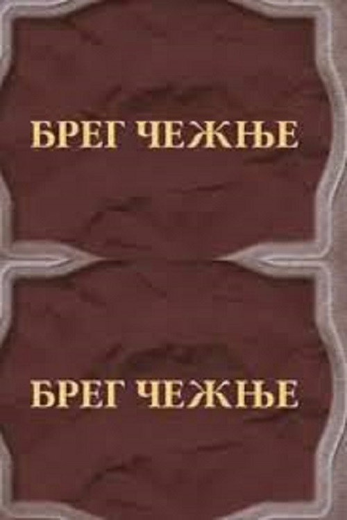 The Shore of Longing Poster