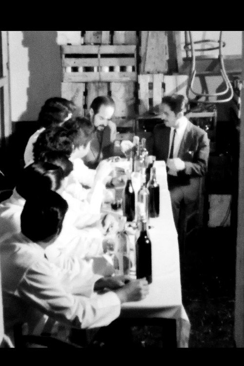 Vías paralelas Poster