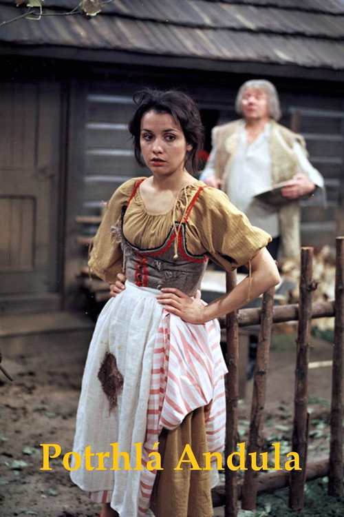 Potrhlá Andula Poster