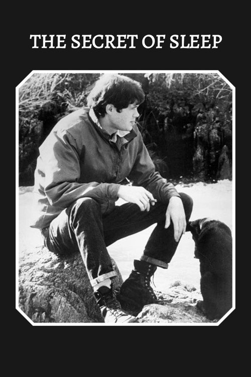 The Secret of Sleep Poster