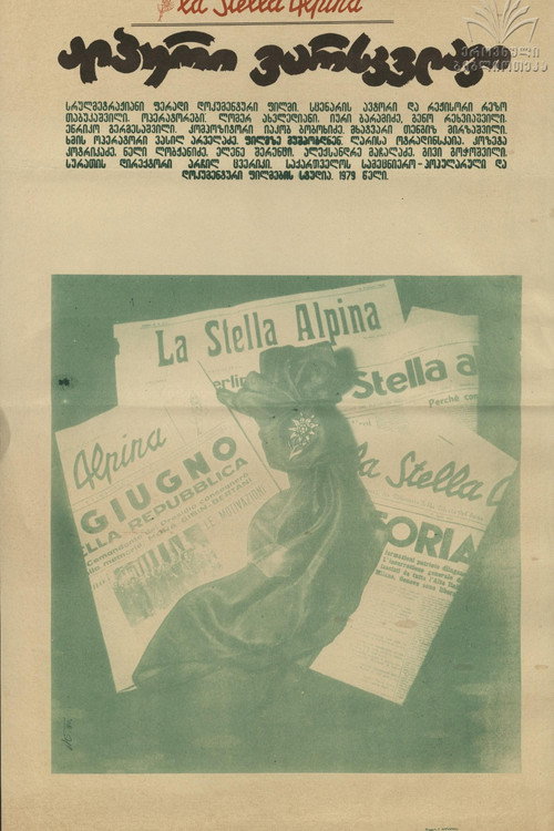 La stella Alpina Poster