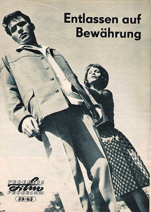 Entlassen auf Bewährung Poster