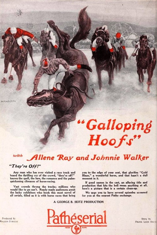 Galloping Hoofs Poster