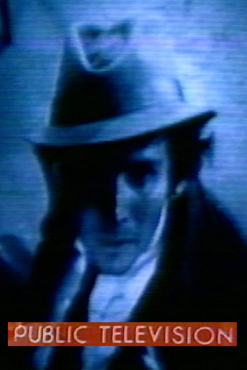 Public Television Poster