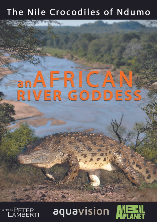 River Dragons of Ndumo Poster