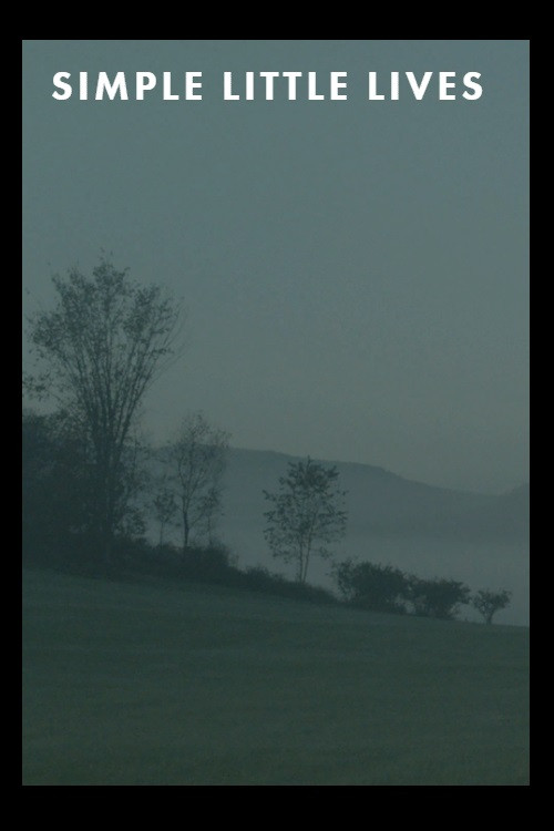 Simple Little Lives Poster