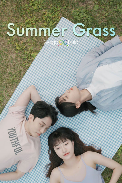Summer Grass Poster