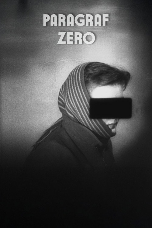 The Zero Article Poster