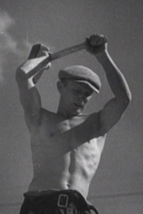 Steine geben Brot Poster