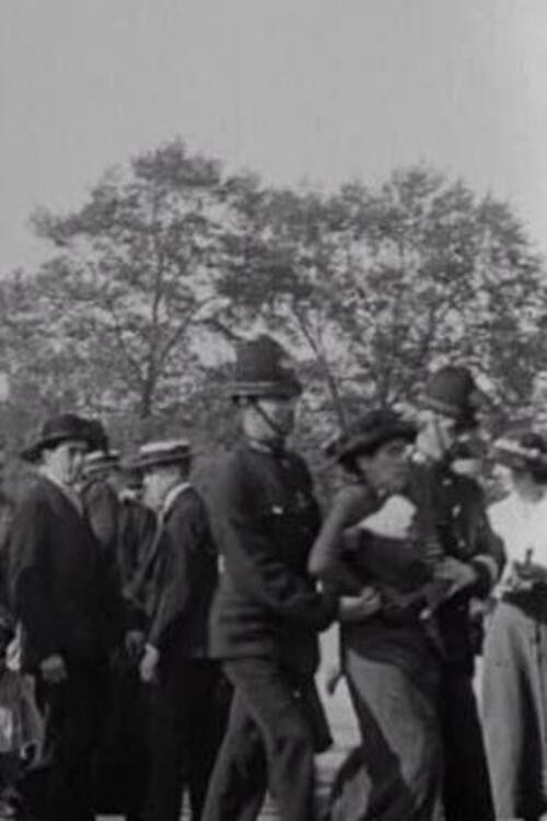 Palace Pandemonium Poster