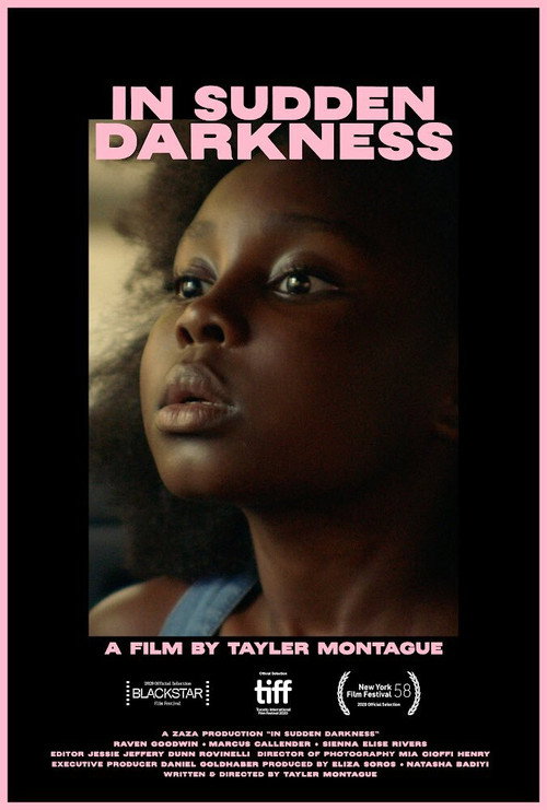 In Sudden Darkness Poster