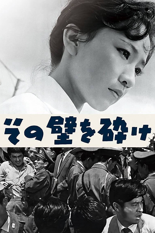 Break Down that Wall Poster