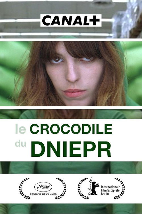 Dnipro Crocodile Poster