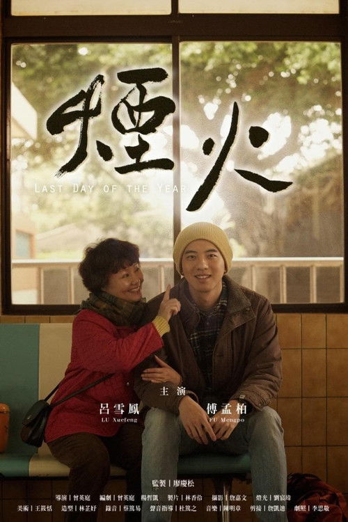 Last Day of the Year Poster