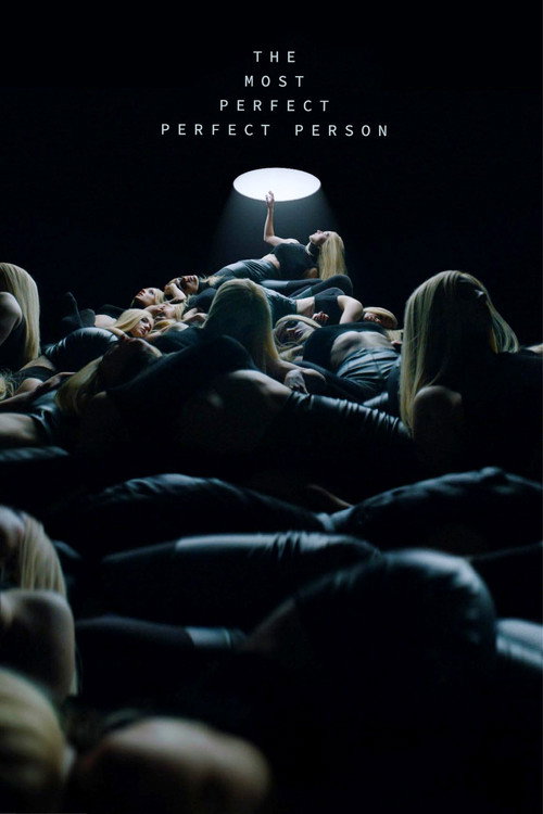 The Most Perfect Perfect Person Poster