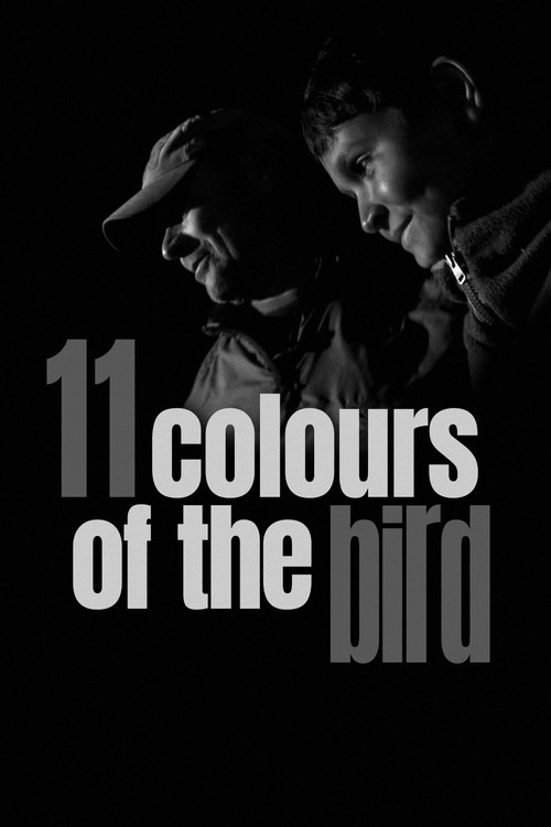 11 Colours of the Bird Poster