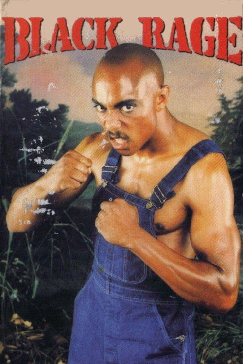 Catch the Black Sunshine Poster