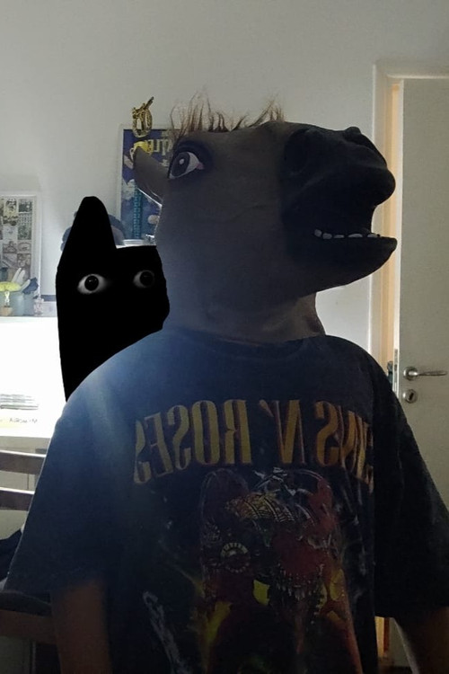 El NO invitado Poster