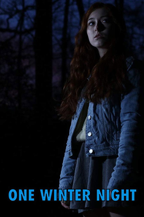 One Winter Night Poster