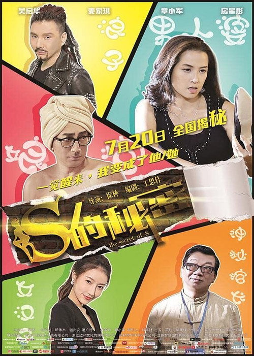 S的秘密 Poster