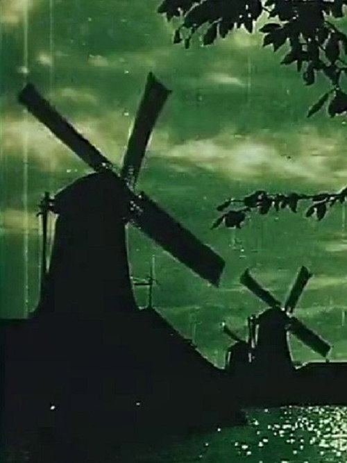 Life in Holland Poster