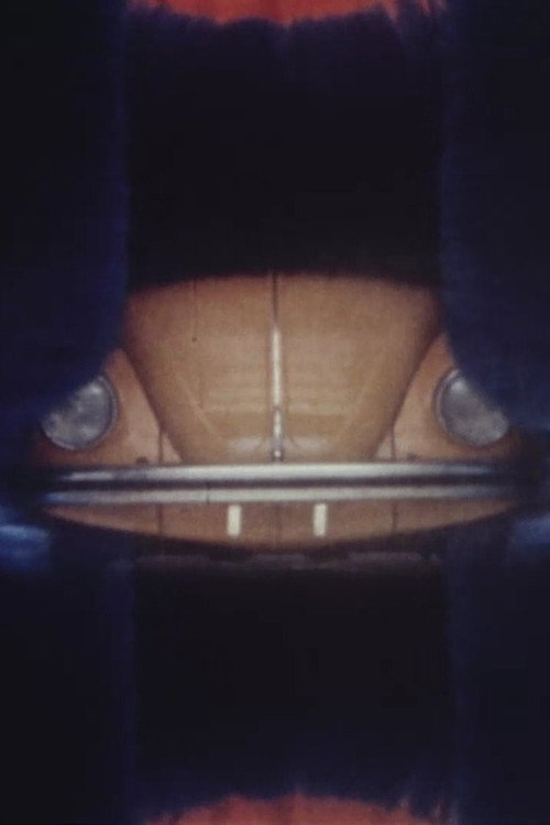 Status Symbol Poster