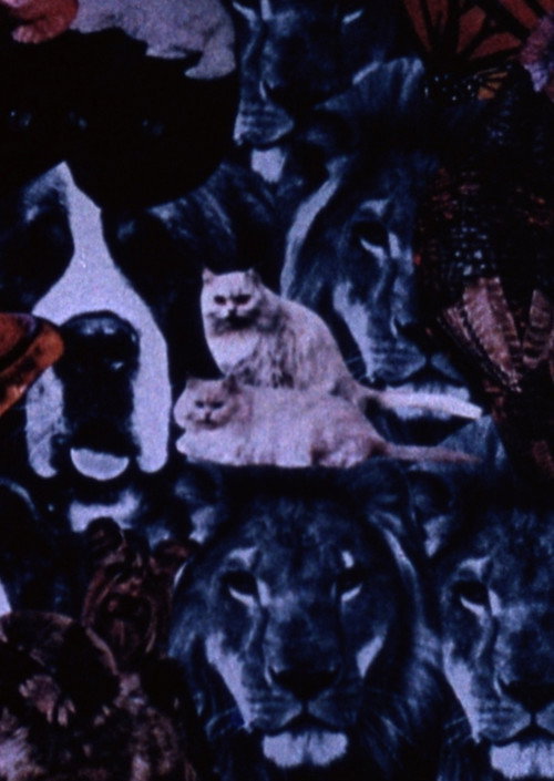 You're Not Real Pretty but You're Mine... Poster