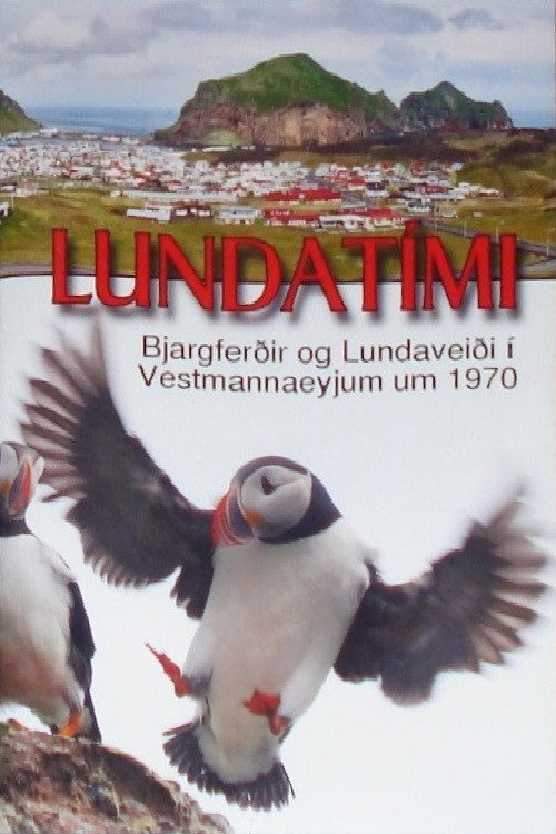 Puffin Season Poster