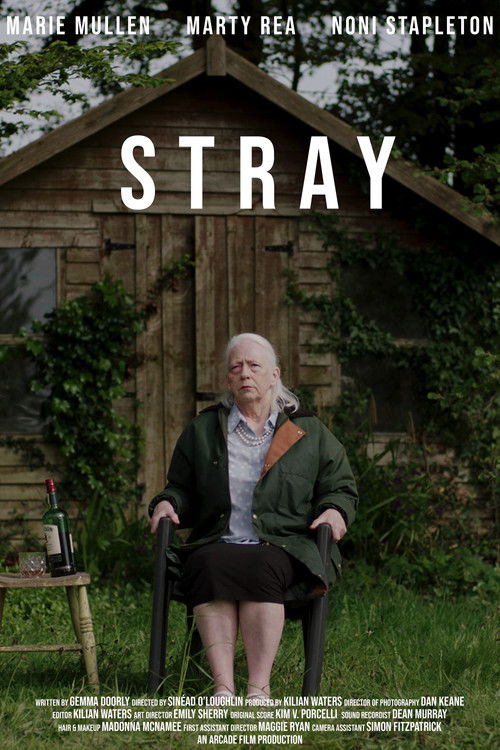Stray Poster