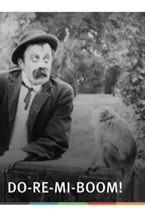 Do-Re-Mi-Boom! Poster