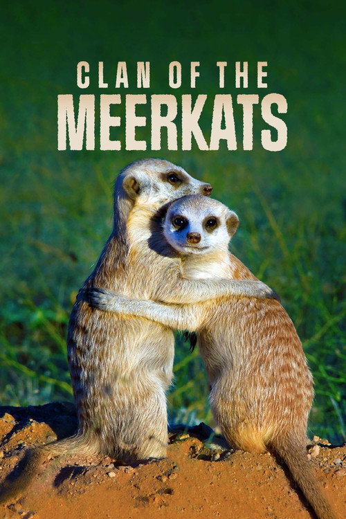 Clan of the Meerkat Poster