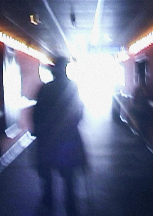 Stan Brakhage Exits the Cinema and Enters the Light of Day Poster