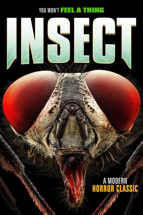 Insect Poster