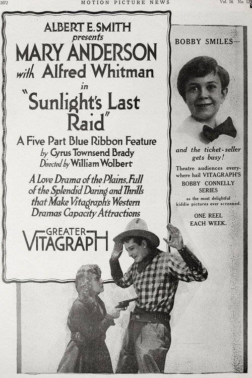 Sunlight's Last Raid Poster