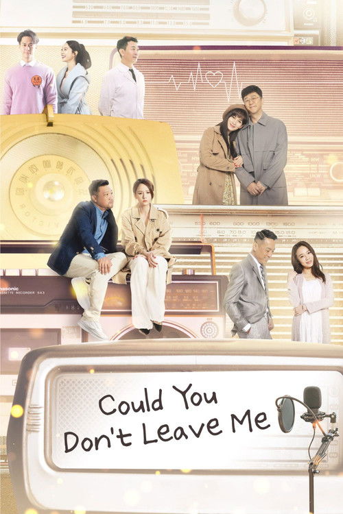 Could You Don't Leave Me Poster