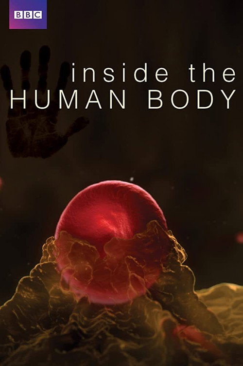 Inside the Human Body Poster