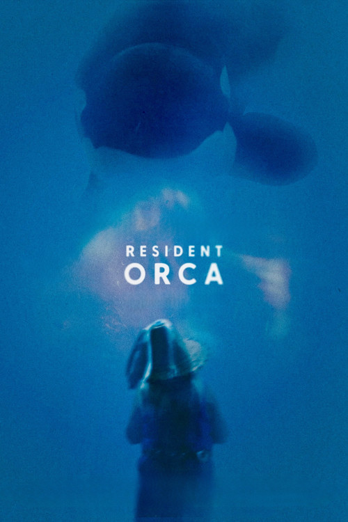 Resident Orca Poster