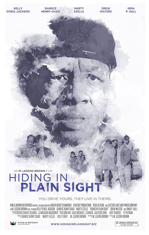 Hiding in Plain Sight Poster