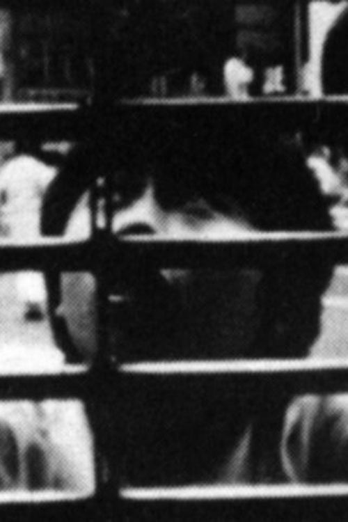 PATHOS SCATTERS IN ILLUSION Poster