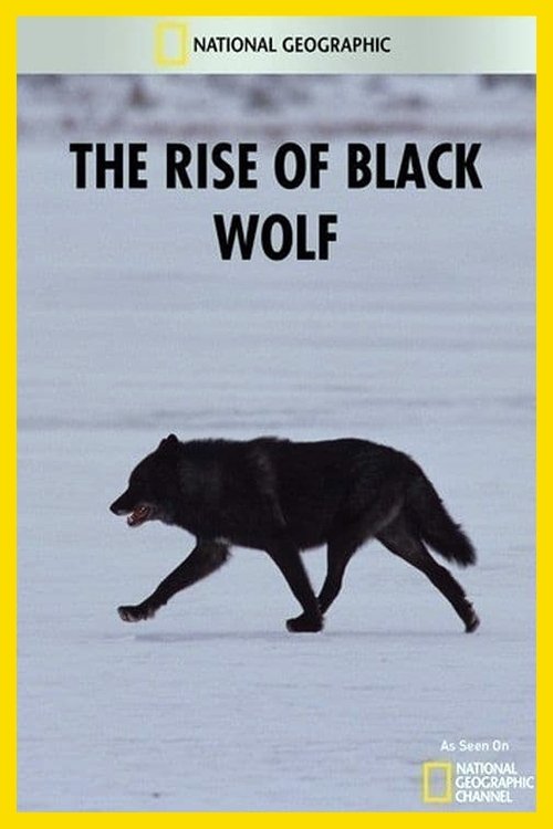 The Rise of Black Wolf Poster