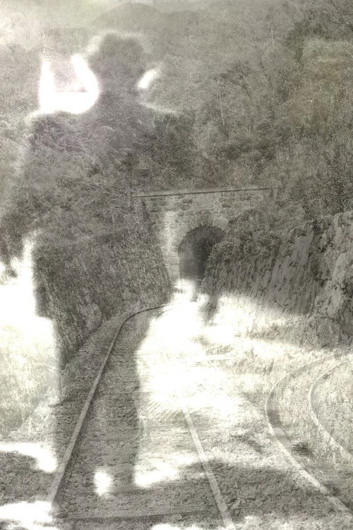 Diálogo Bulbul Poster