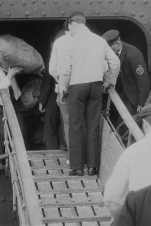 S.S. Saxonia in Liverpool Poster