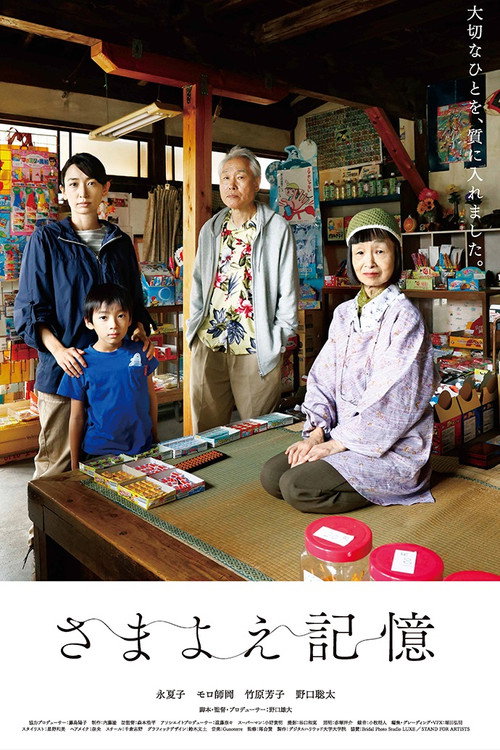 Wandering Memories Poster